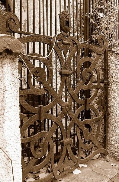 20081115_cristinad_18