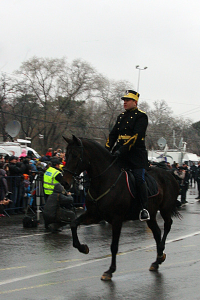 parada1dec8