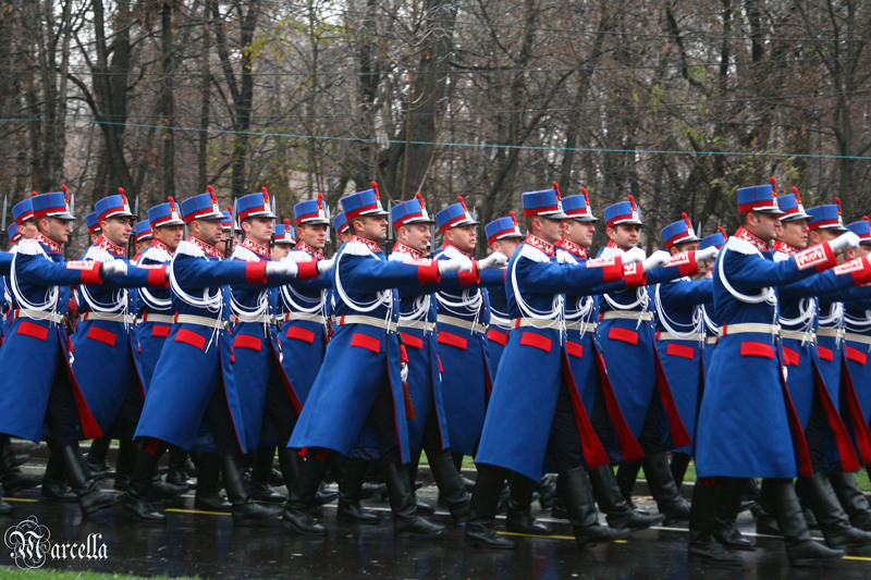 1_decembrie_2010_marcella_d-12