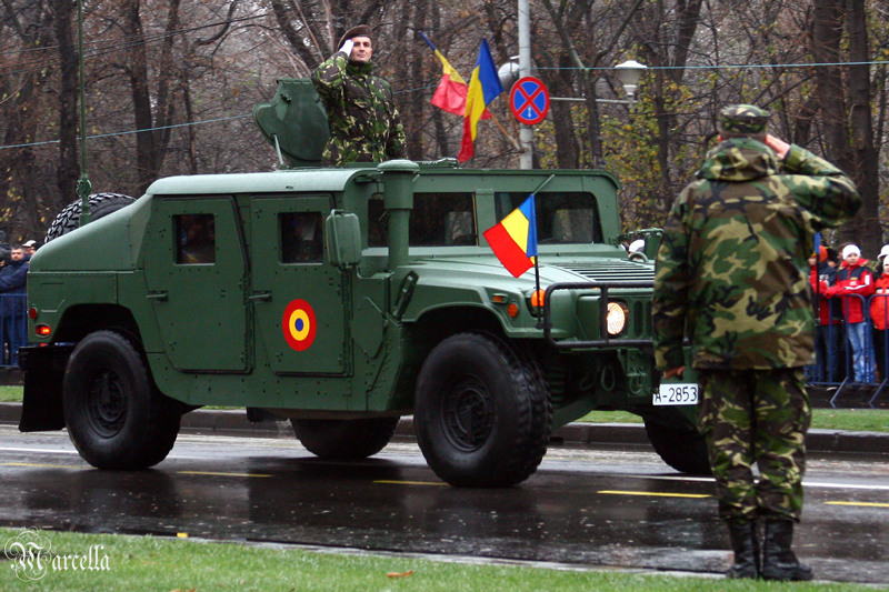 1_decembrie_2010_marcella_d-15