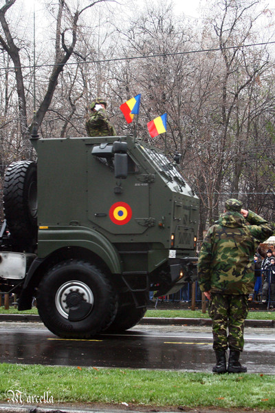 1_decembrie_2010_marcella_d-16