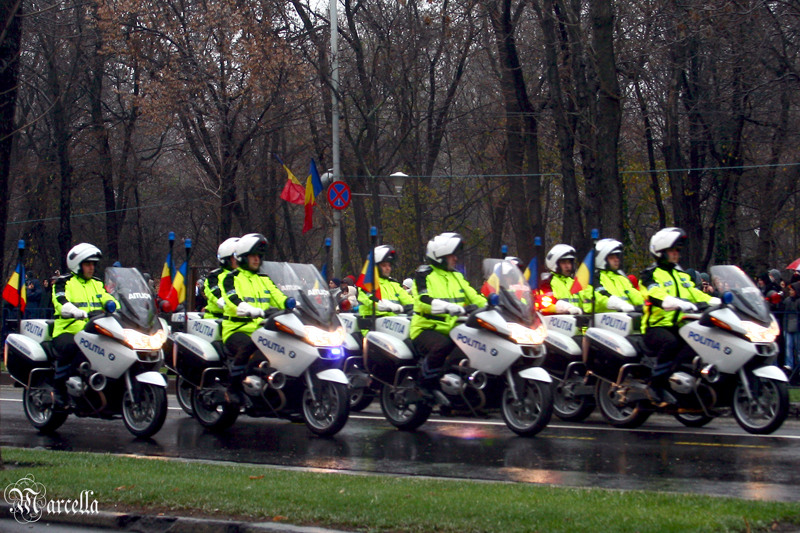 1_decembrie_2010_marcella_d-18