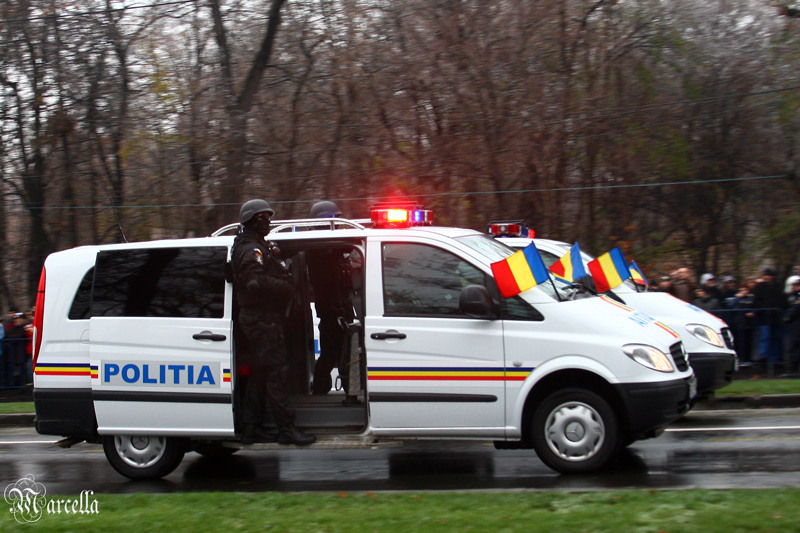 1_decembrie_2010_marcella_d-21