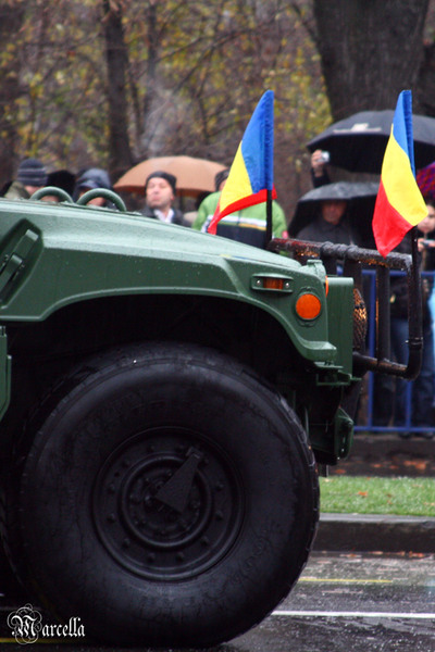 1_decembrie_2010_marcella_d-6