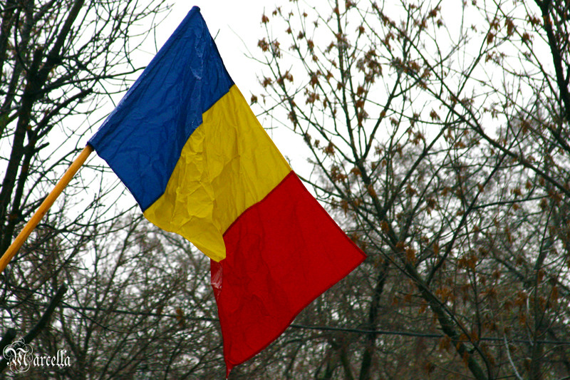 1_decembrie_2010_marcella_d-7