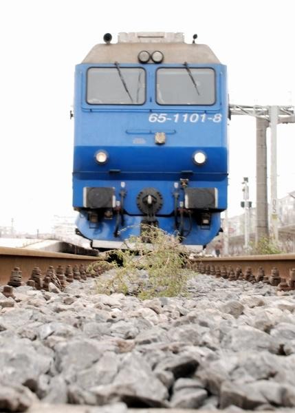 20081221_cristind_04