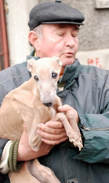 20081221_cristind_17