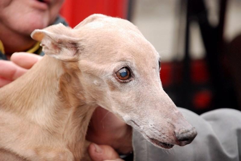 20081221_cristind_18