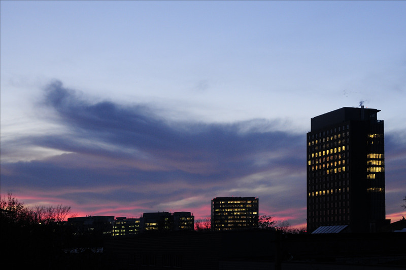 dungha_06122010_dng0751