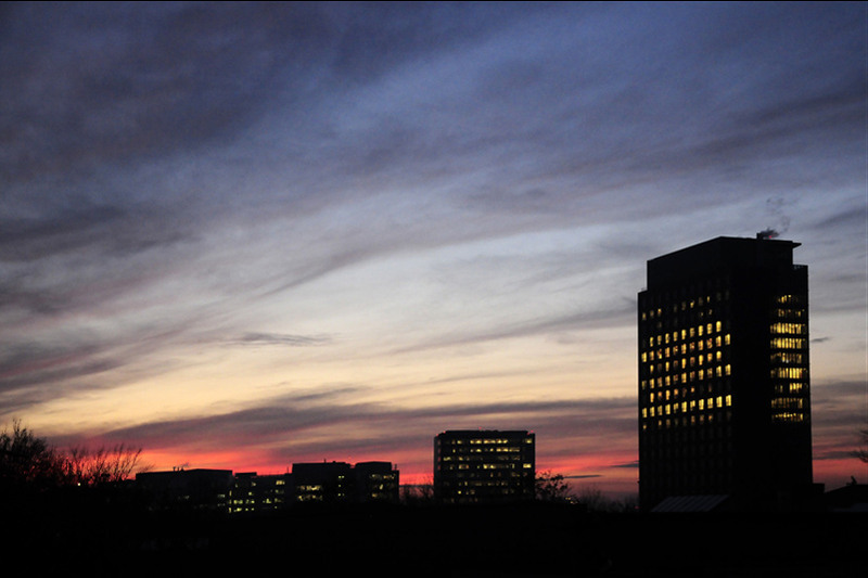 dungha_07122010_dng0882