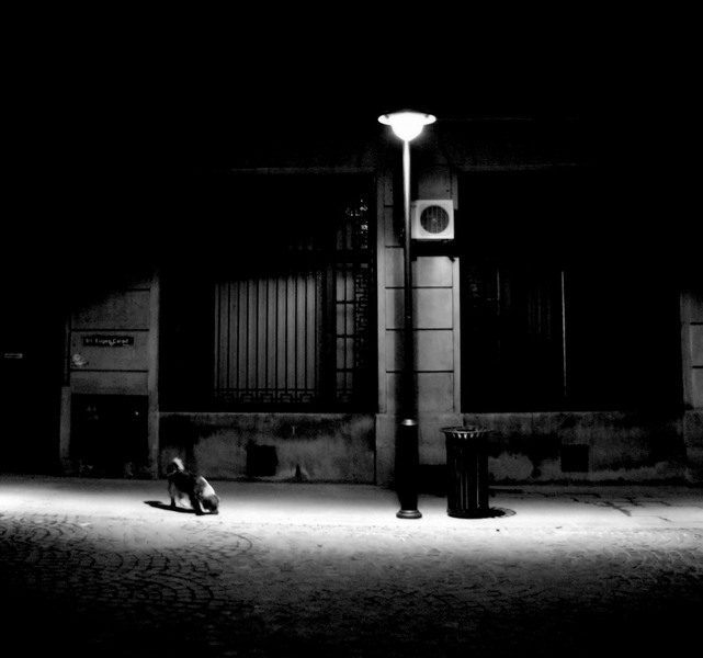 crai de curtea veche