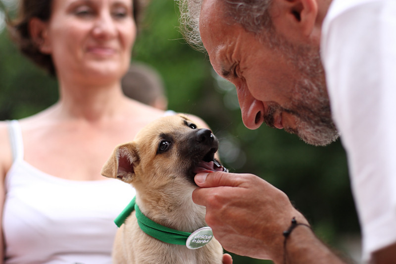 10_0612_sd_catelusi-gia