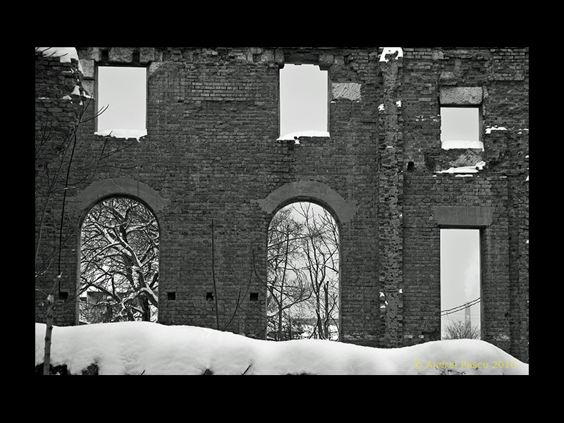 02-slanic-floresti-1