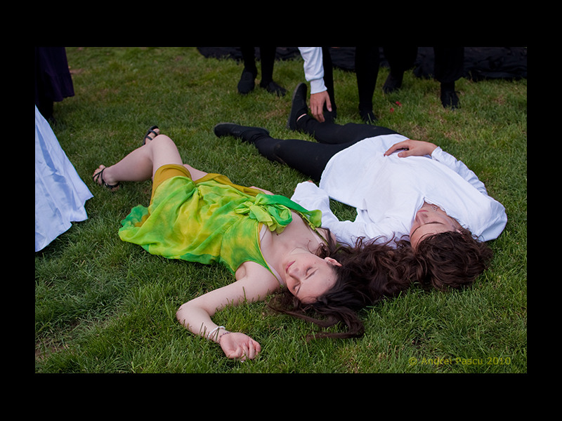 23-streetdelivery2010-1