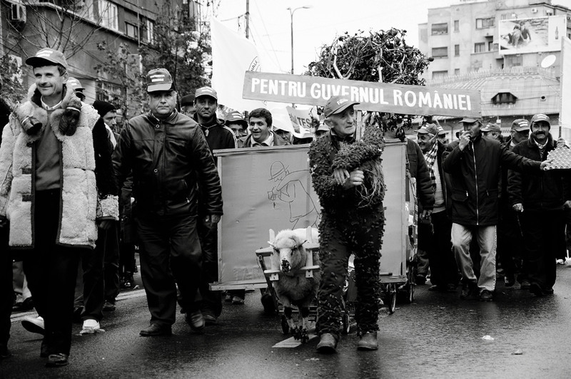 dungha_27_octombrie_2010_bucuresti_manifestatii_dng6228
