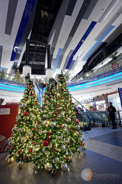 02-ciprian-dumitrescu-sarbatori-de-iarna-2010