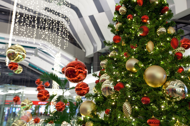 05-ciprian-dumitrescu-sarbatori-de-iarna-2010