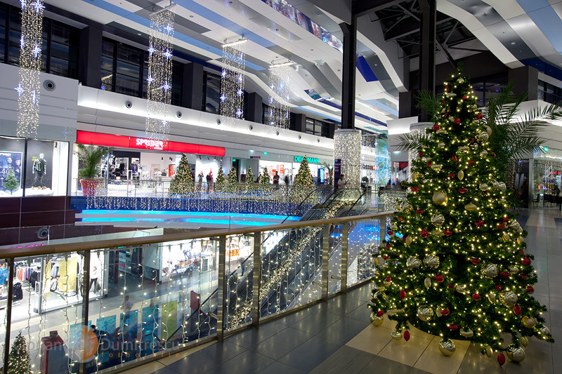 07-ciprian-dumitrescu-sarbatori-de-iarna-2010