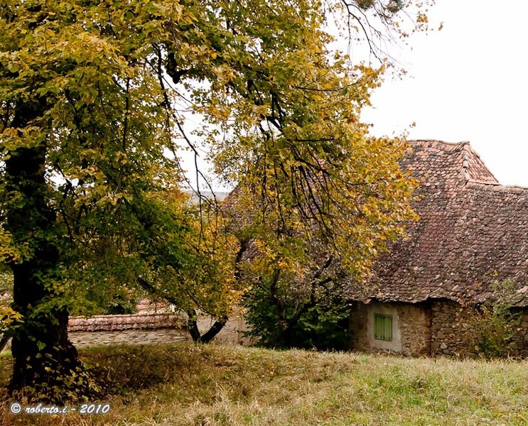 biserici_fortificate_bv_robertoi29