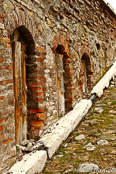 octombrie-fortificat-4928