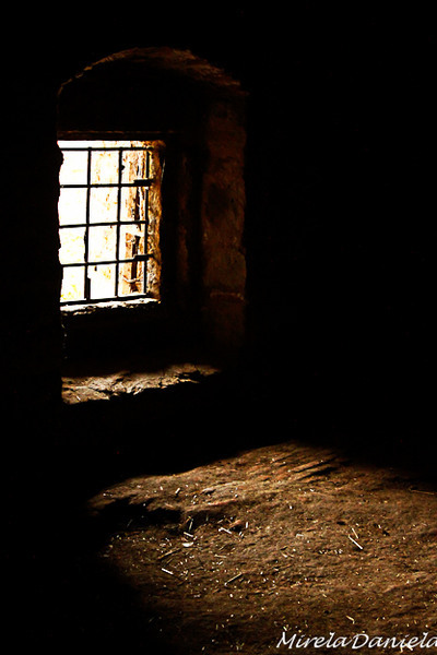 octombrie-fortificat-4971