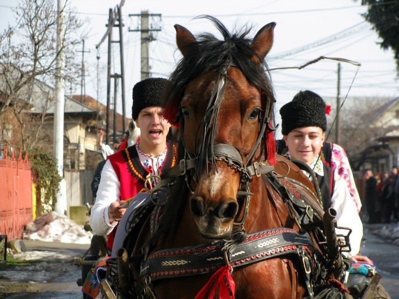 04_top2010_pastele_cailor