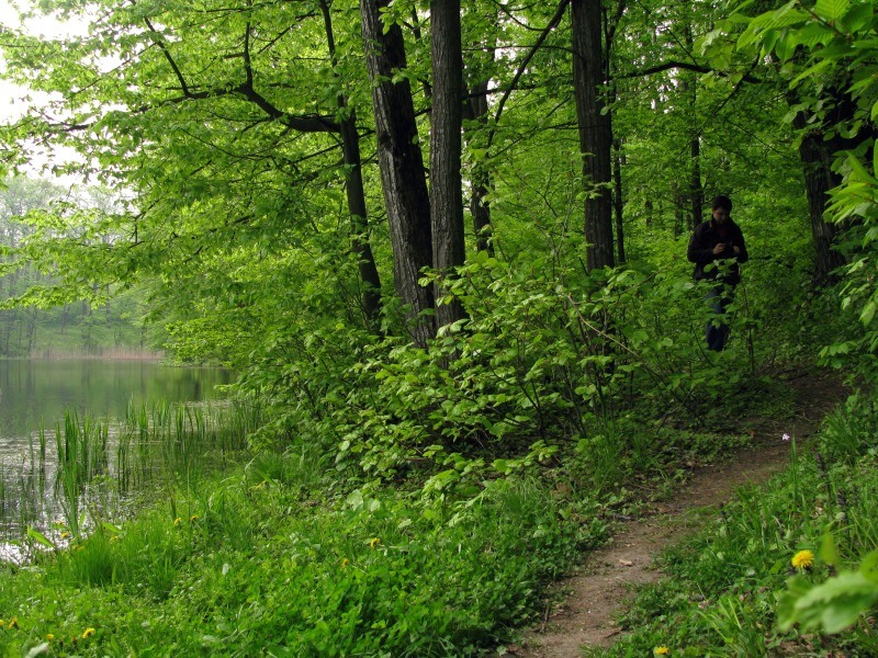 08_top2010_padurea_cernica