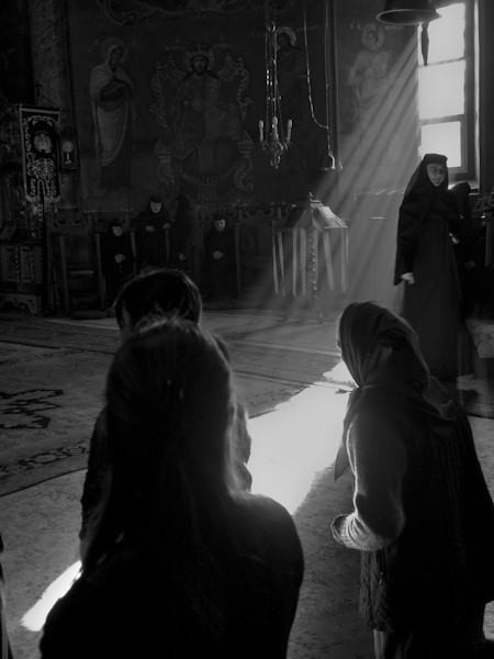 015-padurea-pustnicu