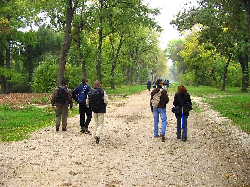 florinst_20081004_02