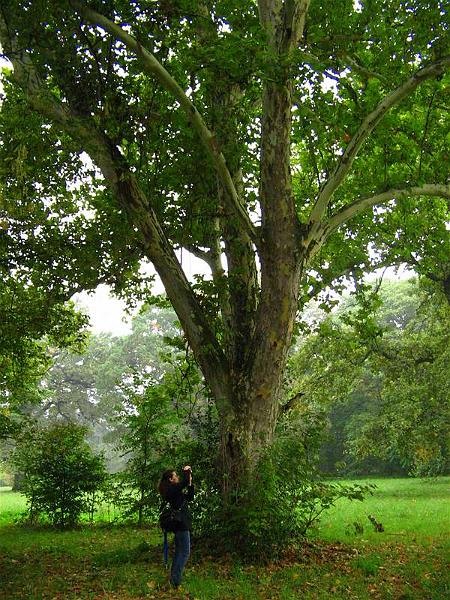 florinst_20081004_03