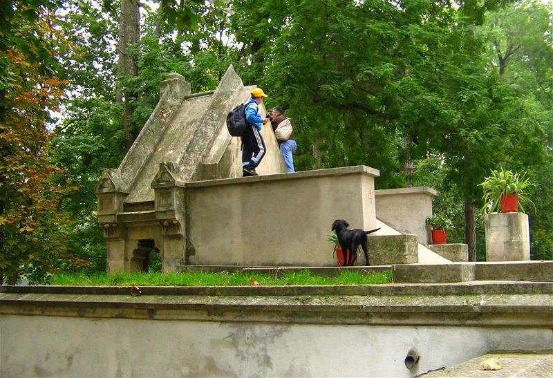 florinst_20081004_04