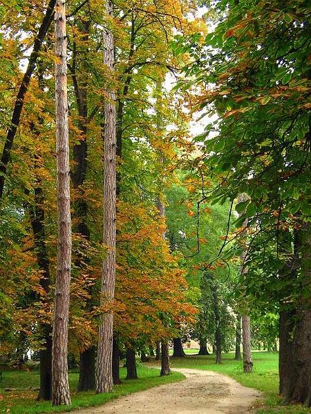 florinst_20081004_05