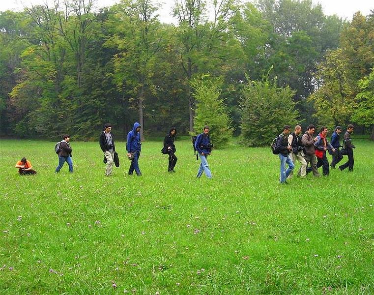 florinst_20081004_25