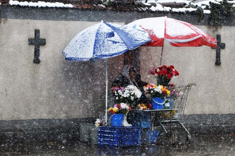 05infruntand-viscolul