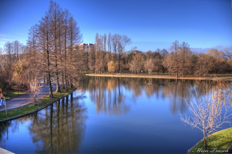 _primavara_de_craciun_05