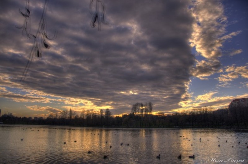 _primavara_de_craciun_11