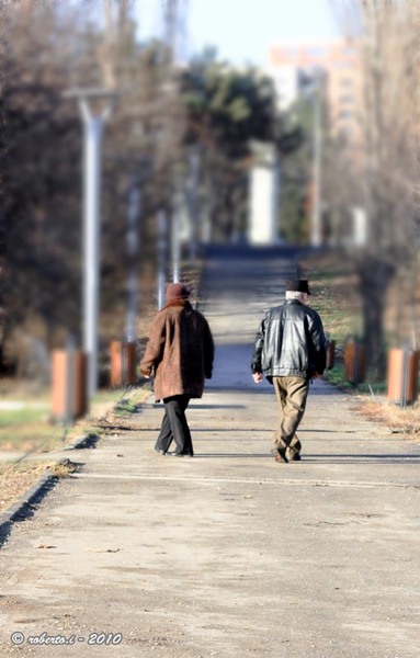 20101225-img_1503-edit-edit