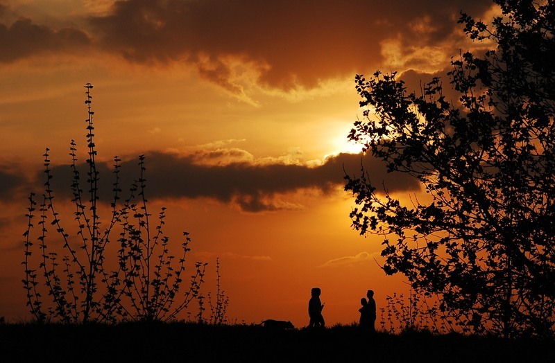 apus-topit-de-florijianu