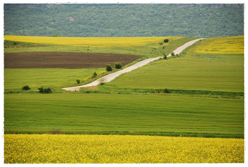 campuri-de-culoare-de-florijianu
