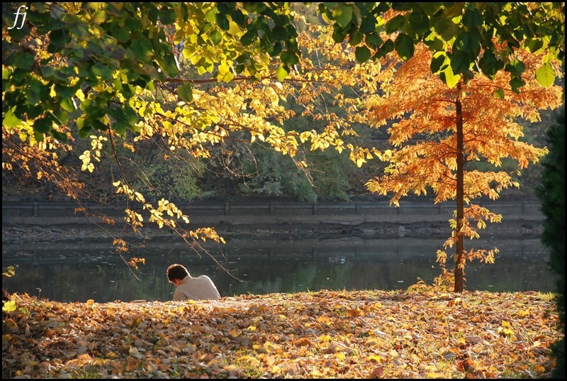 o-clipa-de-odihna-de-florijianu