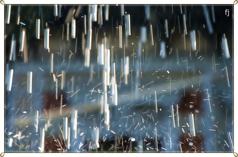 picuri-de-lumina-de-florijianu