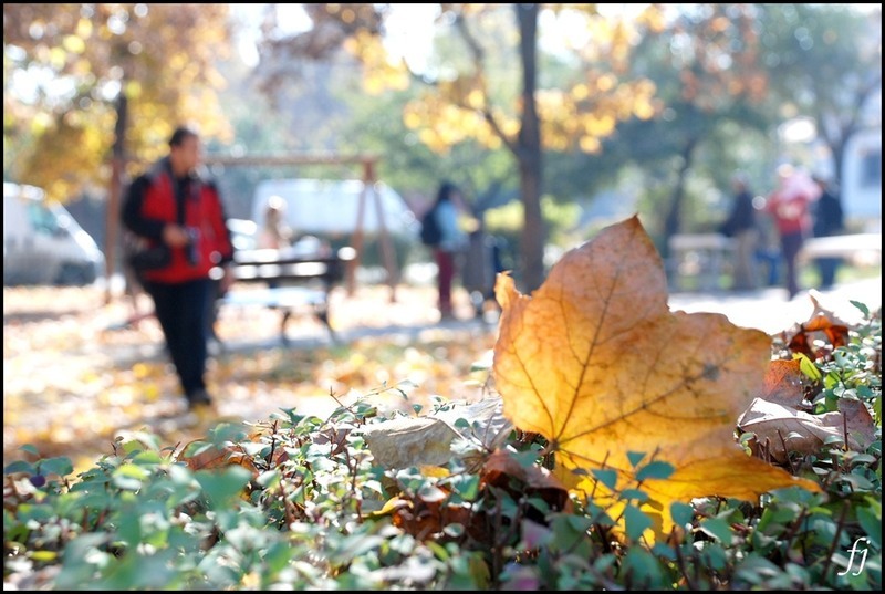pierduti-prin-spatiu-de-florijianu