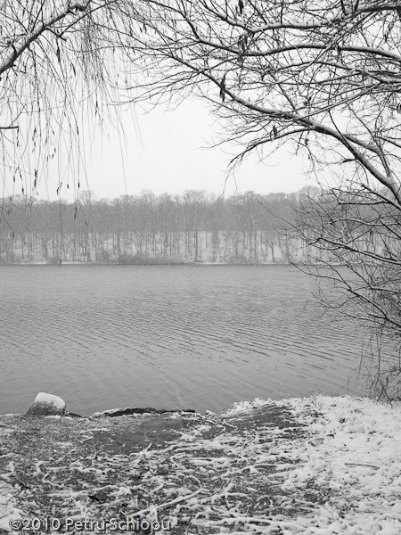 004-cernica-by-fotigrafu