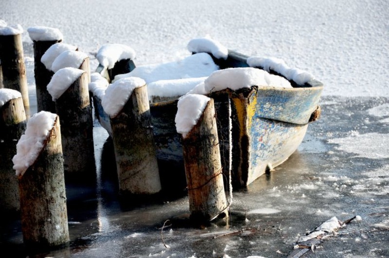 168398_172739719428981_100000788632571_328575_4302875_n