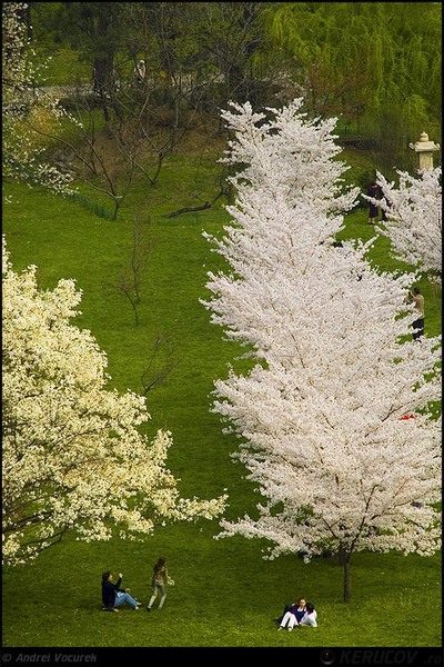 kerucov_orasul_berzei_muzeul_satului_15