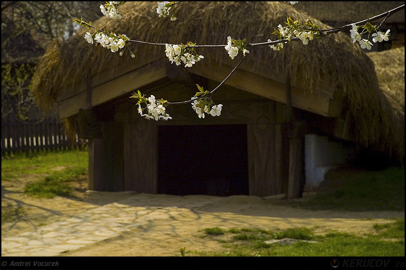 kerucov_orasul_berzei_muzeul_satului_19