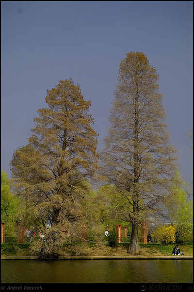 kerucov_orasul_berzei_muzeul_satului_22