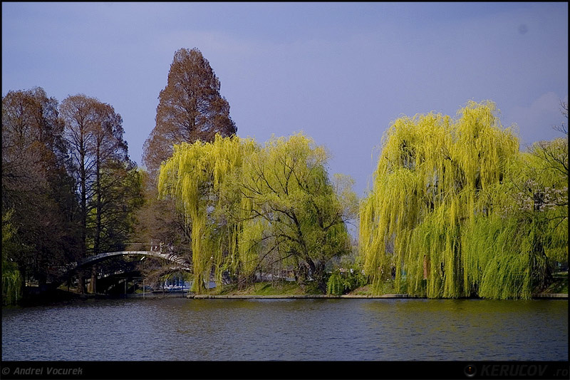 kerucov_orasul_berzei_muzeul_satului_23