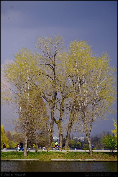 kerucov_orasul_berzei_muzeul_satului_24