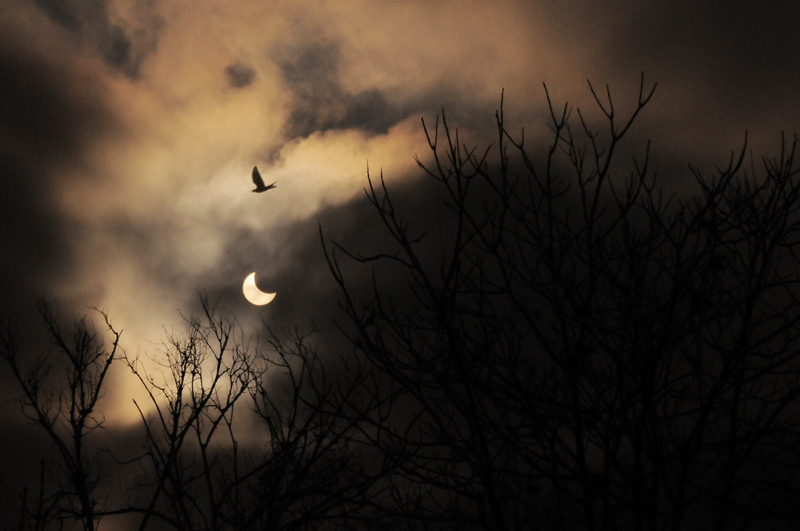 dungha_eclipsa_dng7799